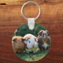 Search for baby pigs key rings Guinea
