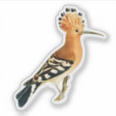Search for transparent wings stickers Bird