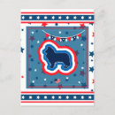Search for rough postcards Puppy