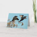 Search for double take Bird