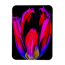 Search for futuristic photography Vibrant floral photography
