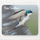 Search for swallow mouse mats Wildlife
