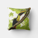 Search for toucan cushions Costa rica