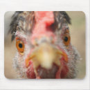 Search for or treat mouse mats Animals