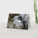 Search for reminders cards Photography