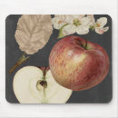 Search for botanical study mouse mats Fruits
