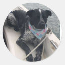 Search for mate stickers Sailing