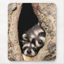Search for raccoons mouse mats Woodland creatures