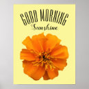 Search for marigold posters Bright
