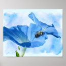Search for bumblebee posters Garden