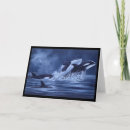 Search for killer whales cards Arctic