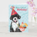 Search for portuguese birthday cards Portuguese water dog