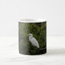 Search for egret mugs Photography