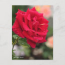 Search for mister postcards Rose