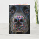 Search for black lab birthday cards Canine