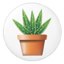 Search for southwestern knobs and pulls Cactus