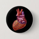 Search for anatomical badges Drawing