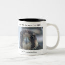 Search for falcon mugs Peregrine