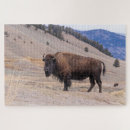 Search for bison puzzles Wildlife