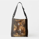 Search for foal accessories Cute