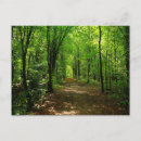 Search for enchanting postcards Photography