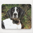 Search for pointer mouse mats Hunting