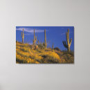 Search for arid canvas prints Flower
