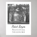 Search for reyes posters Landscape
