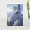 Search for equus cards Farm