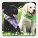 Search for labrador retriever puppy stickers Black lab