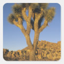 Search for granite stickers Usa