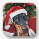 Search for dog christmas plates Humour