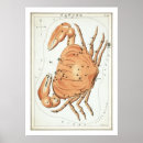 Search for astrology posters Birthday