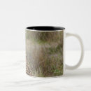 Search for serengeti mugs Nature