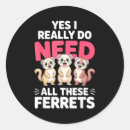 Search for ferret stickers Kids