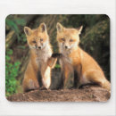 Search for den mouse mats Wildlife
