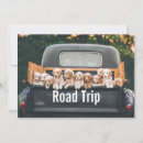 Search for dog lover cards Puppies