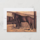 Search for bay horse cards Thoroughbred