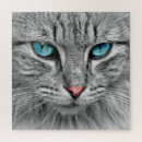 Search for pet puzzles Picture