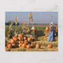 Search for bale of hay postcards Autumn