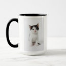 Search for pet portraits mugs White background