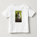 Search for monkey toddler tshirts Omnivore