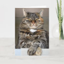 Search for tabby cat birthday cards Funny