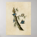Search for 152 Lithograph