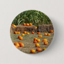 Search for hay badges Autumn