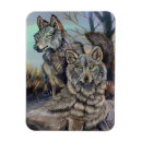 Search for arctic wolf magnets Animal