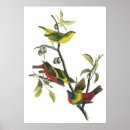 Search for bunting posters Buntings
