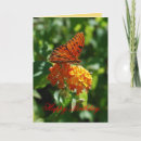 Search for fritillary Gulf fritillary