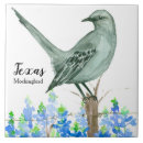 Search for texas wildflower tiles Wildflowers