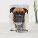 Search for boxer dog birthday cards Puppies